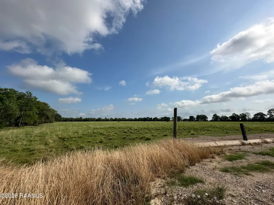 35 Ac Howard Road, Iota, LA 70543 - #3