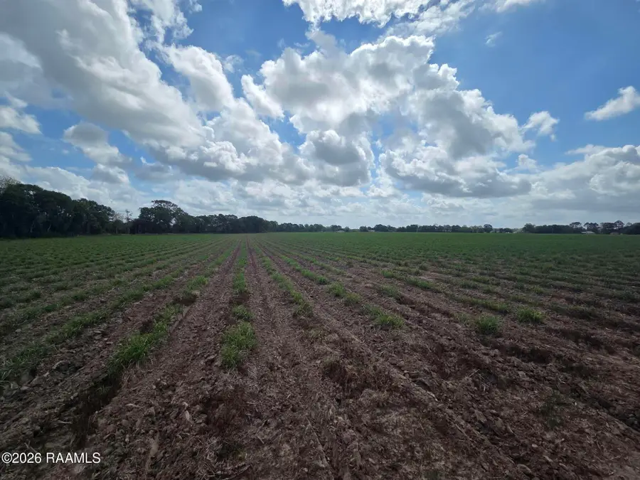 997 Sidney Charles Road, Opelousas, LA 70570 - #2