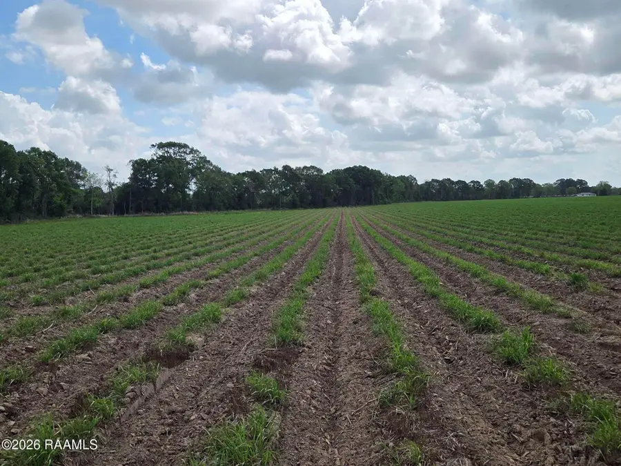 997 Sidney Charles Road, Opelousas, LA 70570 - #3
