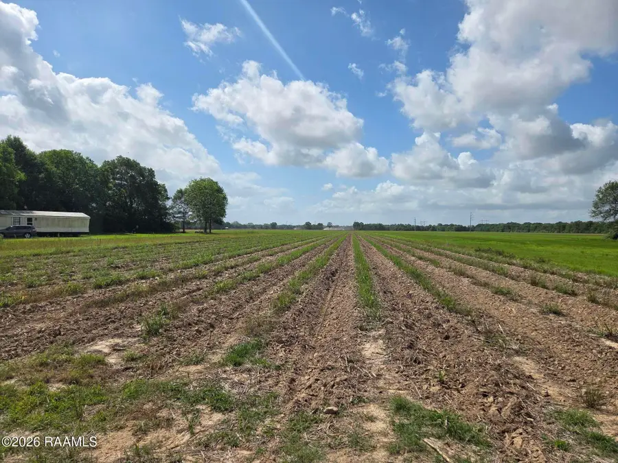 1000 Sidney Charles Road, Opelousas, LA 70570 - #2
