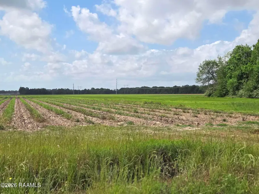 1000 Sidney Charles Road, Opelousas, LA 70570 - #3