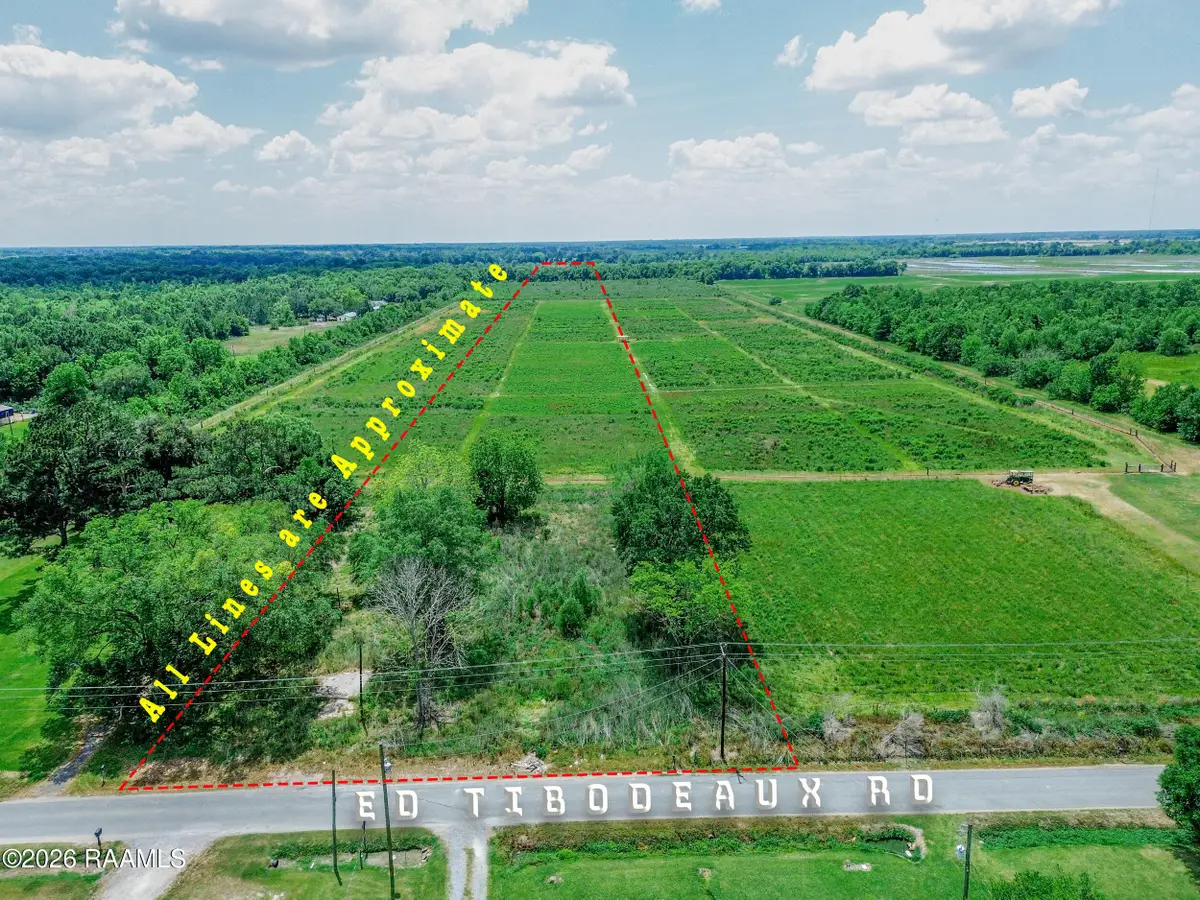 1427 Ed Thibodeaux Road, Church Point, LA 70525 - #1