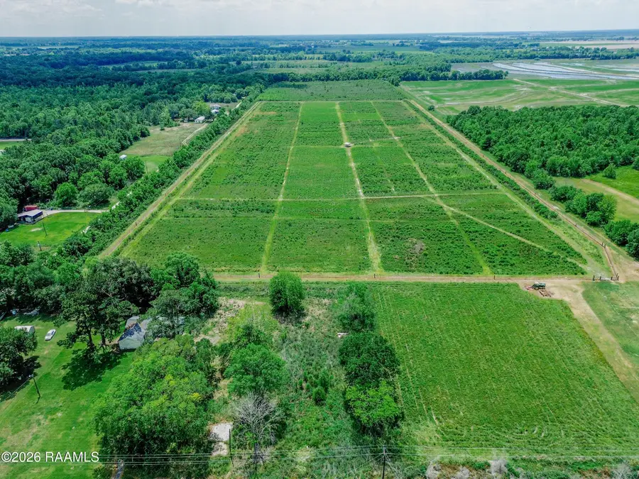 1427 Ed Thibodeaux Road, Church Point, LA 70525 - #3