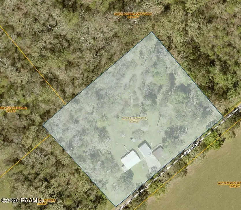1449 Jolene Road, Basile, LA 70515 - #1