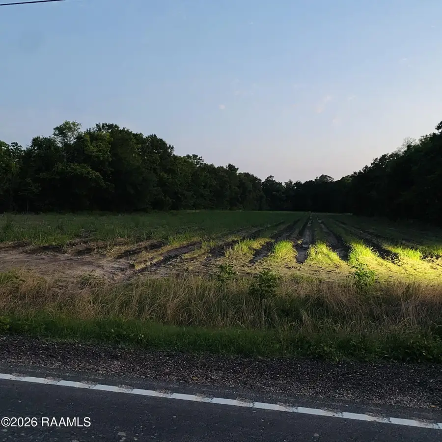 Bushville Highway, Arnaudville, LA 70512 - #2