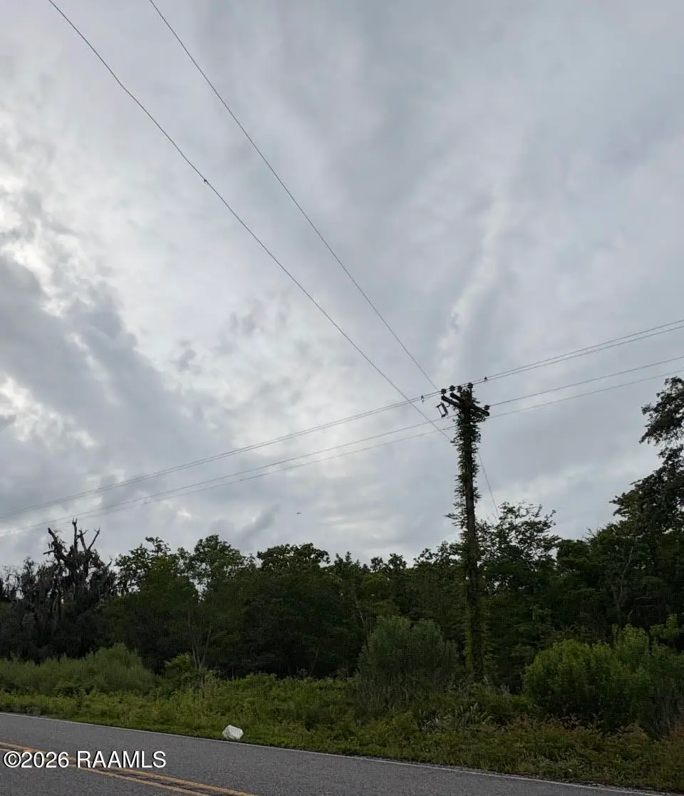 Tbd La Highway 333 (east), Abbeville, LA 70510 - #1