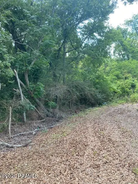 600 Blk Louis Arceneaux Road, Lafayette, LA 70507 - #2