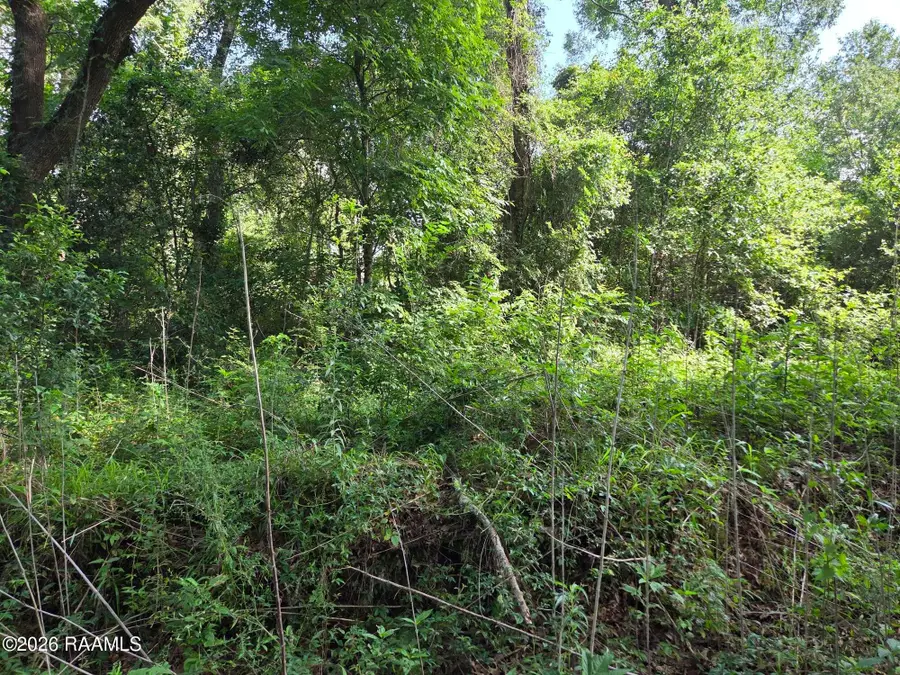 2480 Savoy Road, Youngsville, LA 70592 - #3