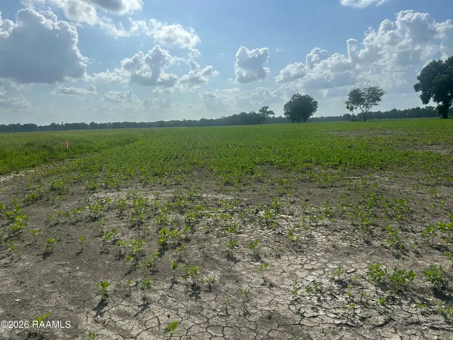 Oscar Rivette Road, Arnaudville, LA 70512 - #2