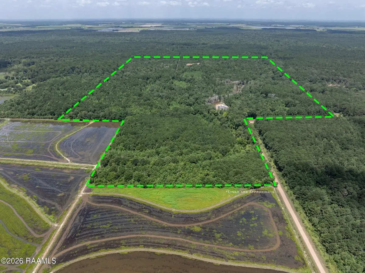 301 Crabapple Road, Iota, LA 70543 - #1