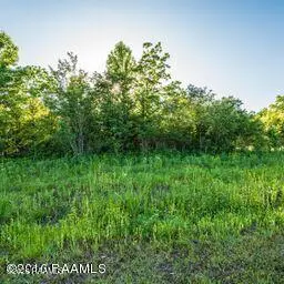 000 Cypress Island Highway #0000, Saint Martinville, LA 70582 - #2