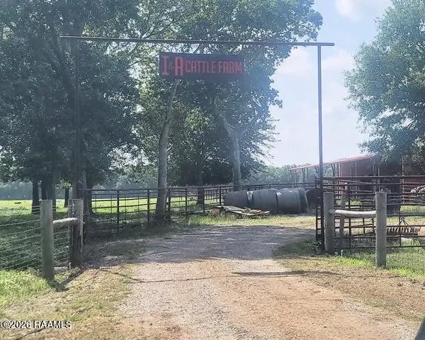 559 Prudence Highway, Church Point, LA 70525 - #1