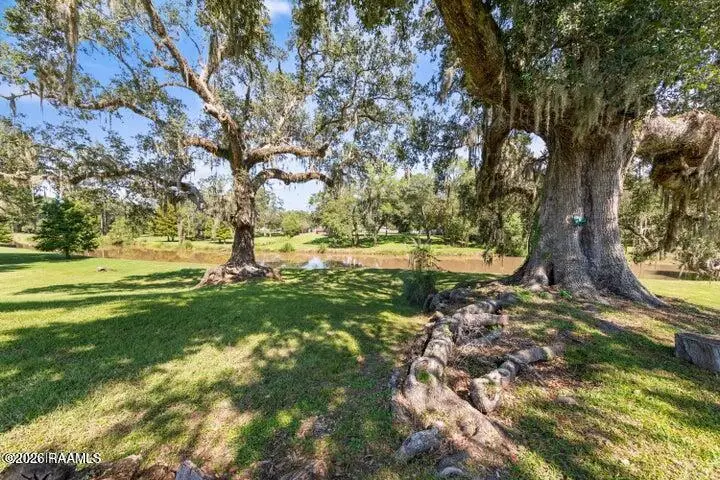 1058 Angelwood Circle, Breaux Bridge, LA 70517 - #3
