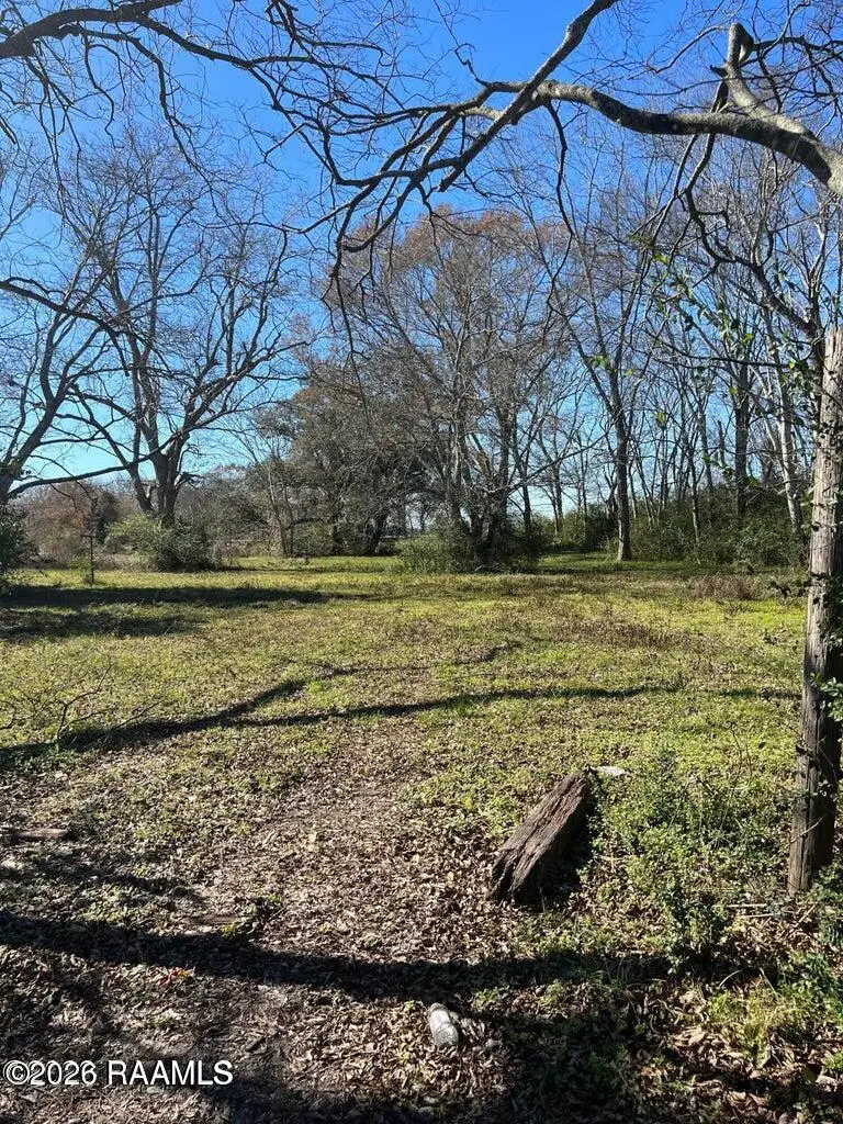 700 Hog Alley, Rayne, LA 70578 - #1