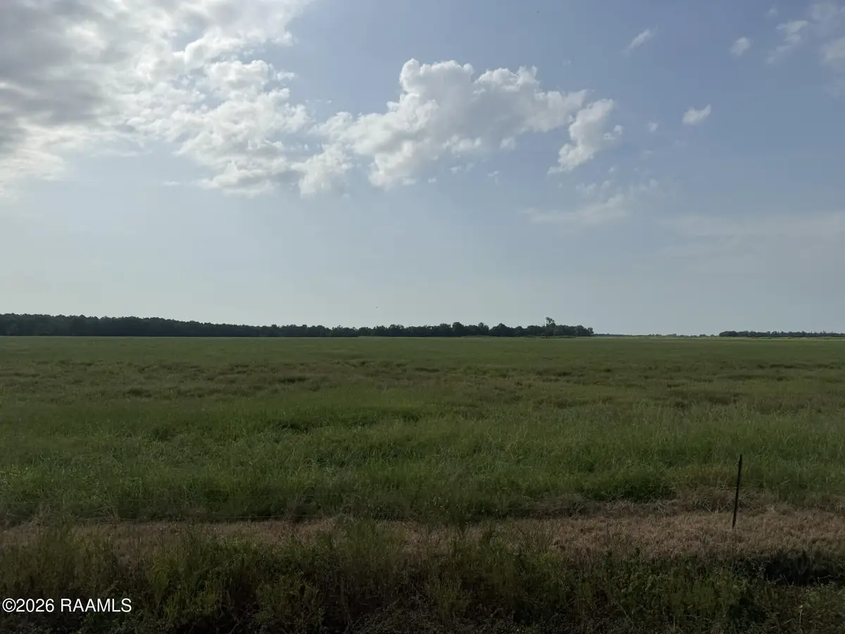 Tbd Whiteville-tract 8 Road, Ville Platte, LA 70586 - #1