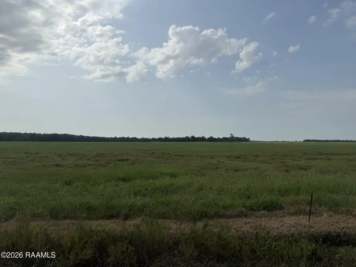 Tbd Whiteville-tract 9 Road, Ville Platte, LA 70586 - #1