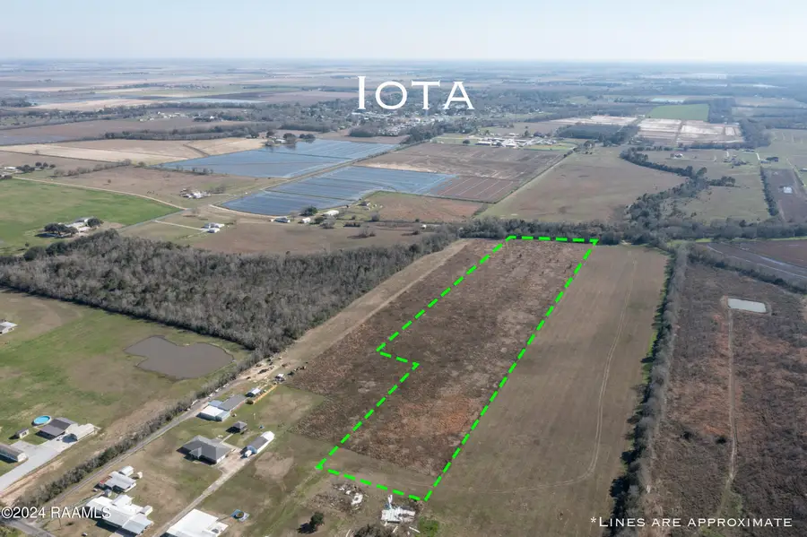 Tbd Lilly Road, Iota, LA 70543 - #3