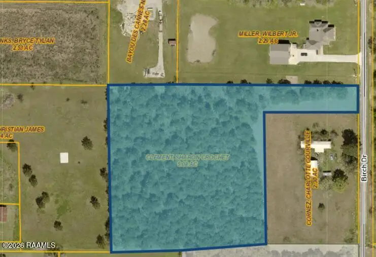 Tract C Birch Drive, Iota, LA 70543 - #2