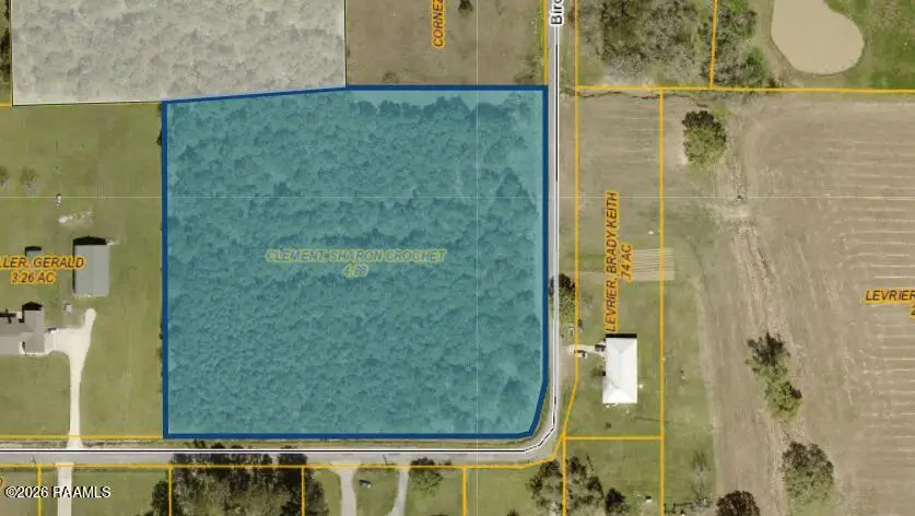 Tract D Birch Drive, Iota, LA 70543 - #2