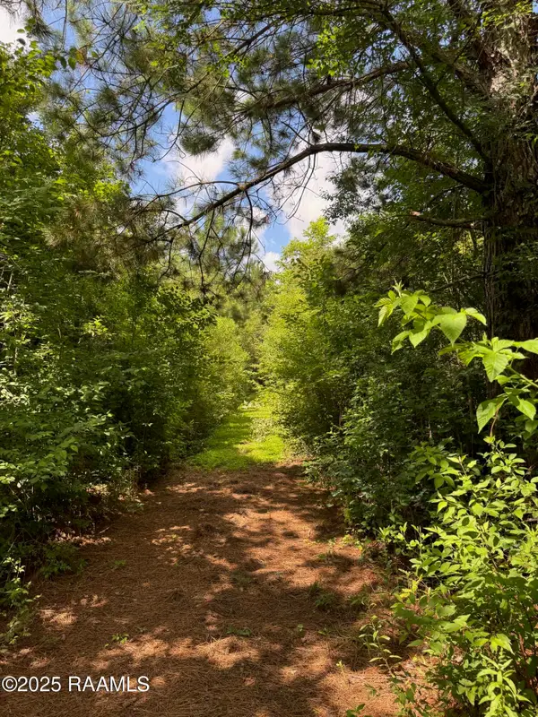 Tbd Lot 5 Frozard Road #5, Arnaudville, LA 70512