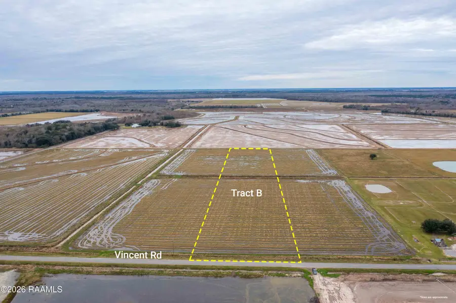 Tract B Vincent Road, Mermentau, LA 70556 - #3