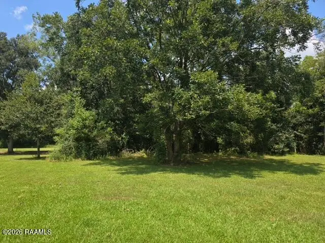 Tbd Lady Of The Lake Road, Saint Martinville, LA 70582 - #2