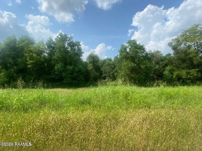 Tbd Wrs Road, Washington, LA 70589 - #2