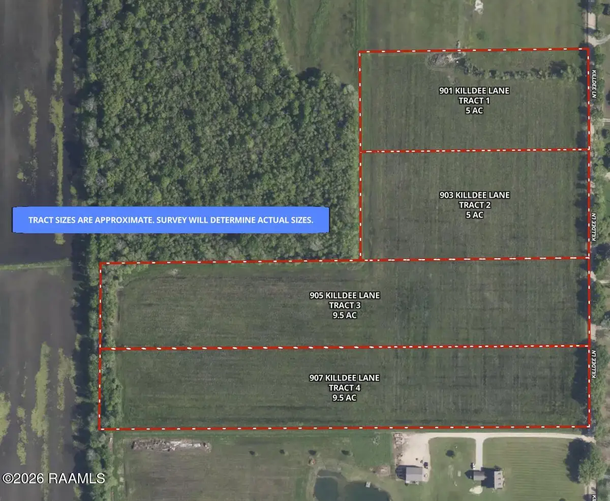 905 Killdee Lane, Duson, LA 70529 - #1