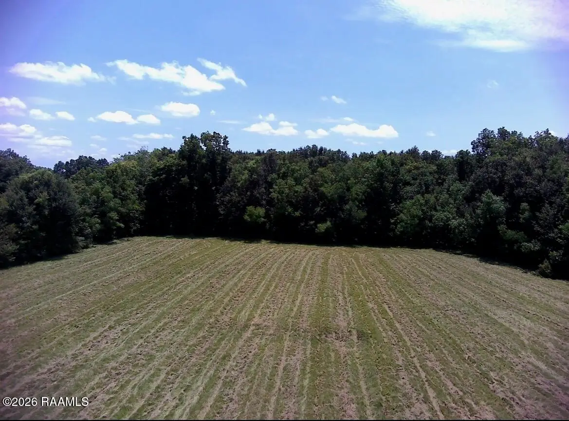 1298 Henderson Highway, Breaux Bridge, LA 70517 - #1
