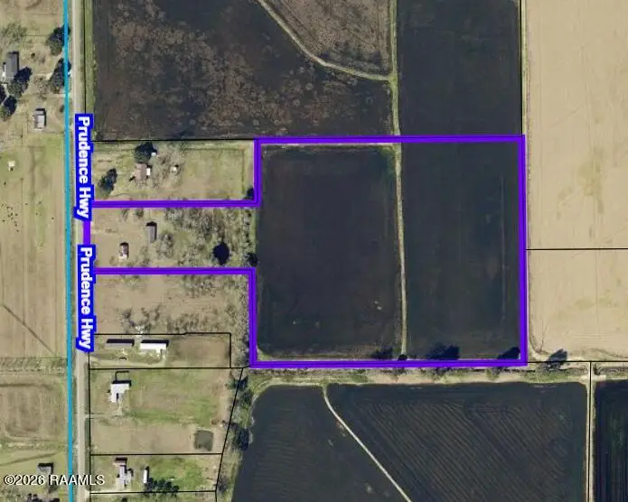 1246 Prudence Highway, Church Point, LA 70525 - #2