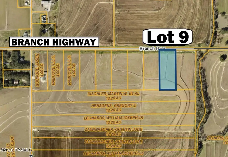 0 Branch Highway #9, Branch, LA 70516 - #3
