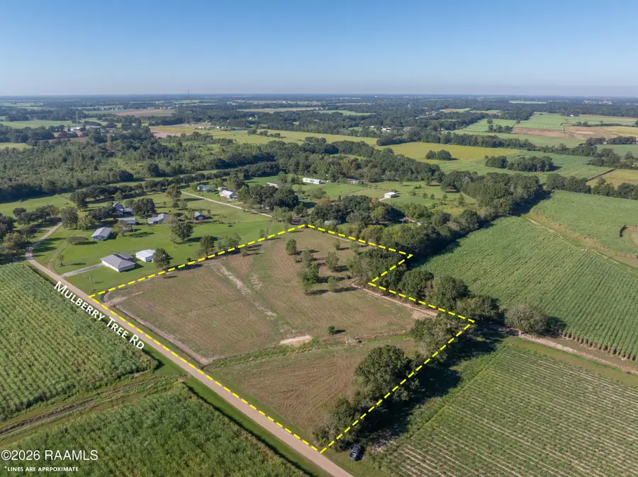 1600 Blk Savoy Road, Youngsville, LA 70592 - #2