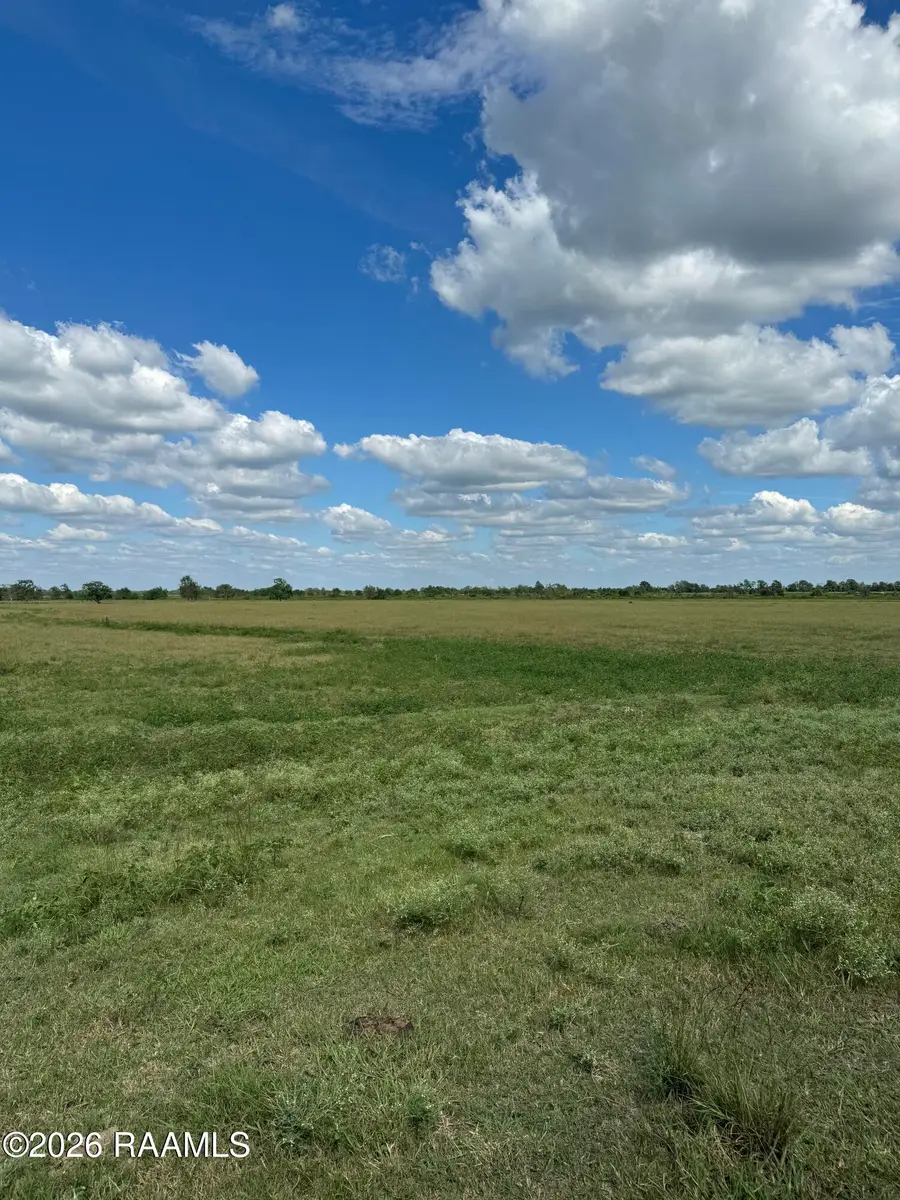 24500 Louisiana 82, Kaplan, LA 70548 - #3