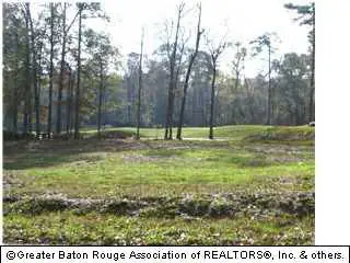 14970 Centenary Place, Saint Francisville, LA 70775 - #3