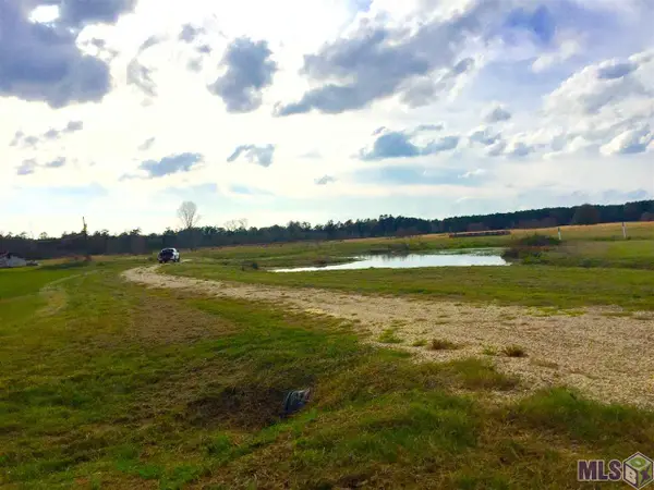 17530 Stoney Point Burch Rd, Pride, LA 70770