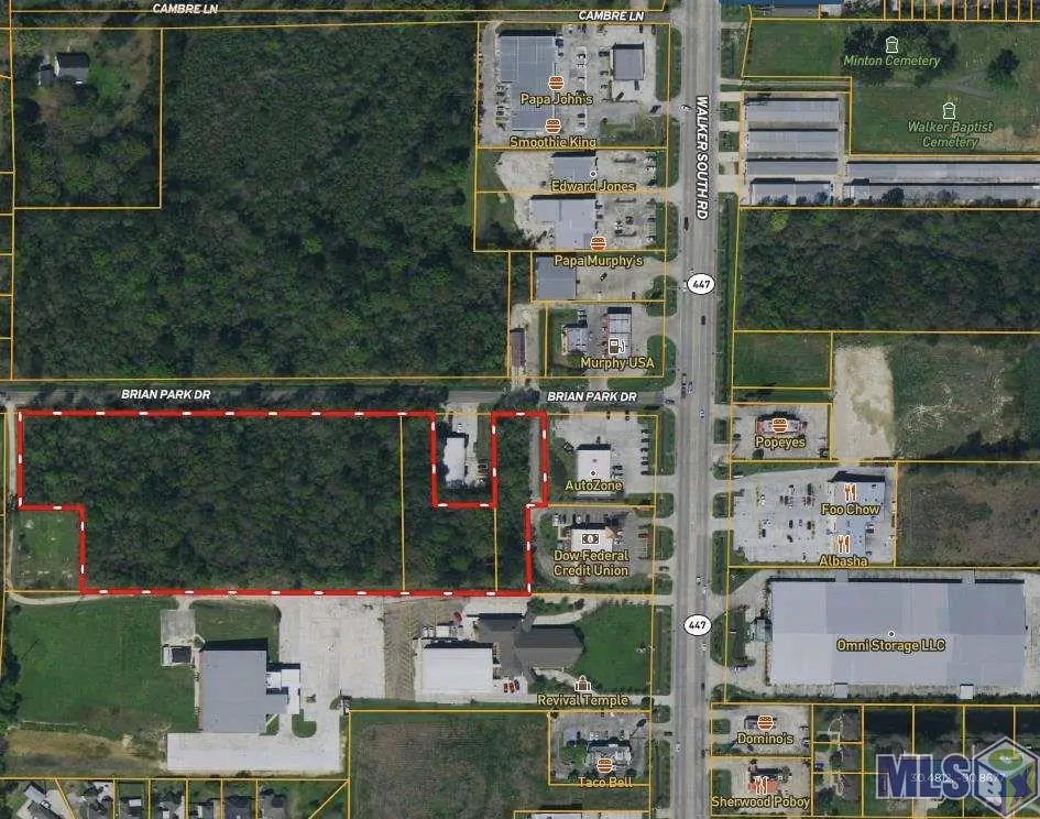 7.3 acres Brian Park Dr, Walker, LA 70785 - #1