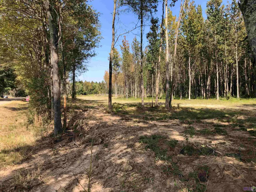 1645 Midway Rd, Slaughter, LA 70777 - #2
