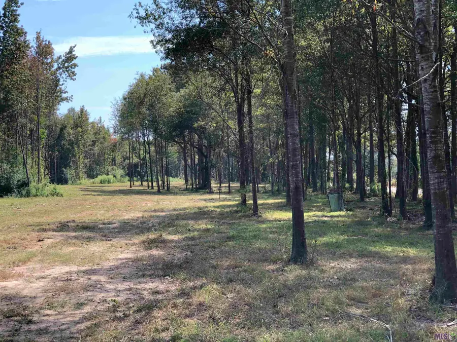 1645 Midway Rd, Slaughter, LA 70777 - #3