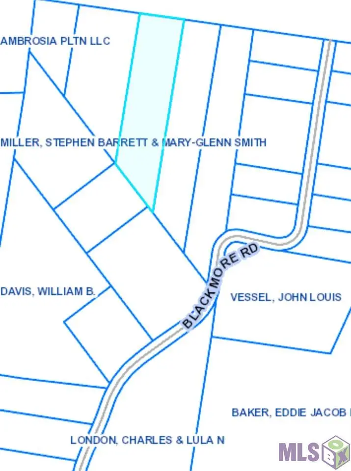 Lot D-7 Blackmore Rd, Saint Francisville, LA 70775 - #1
