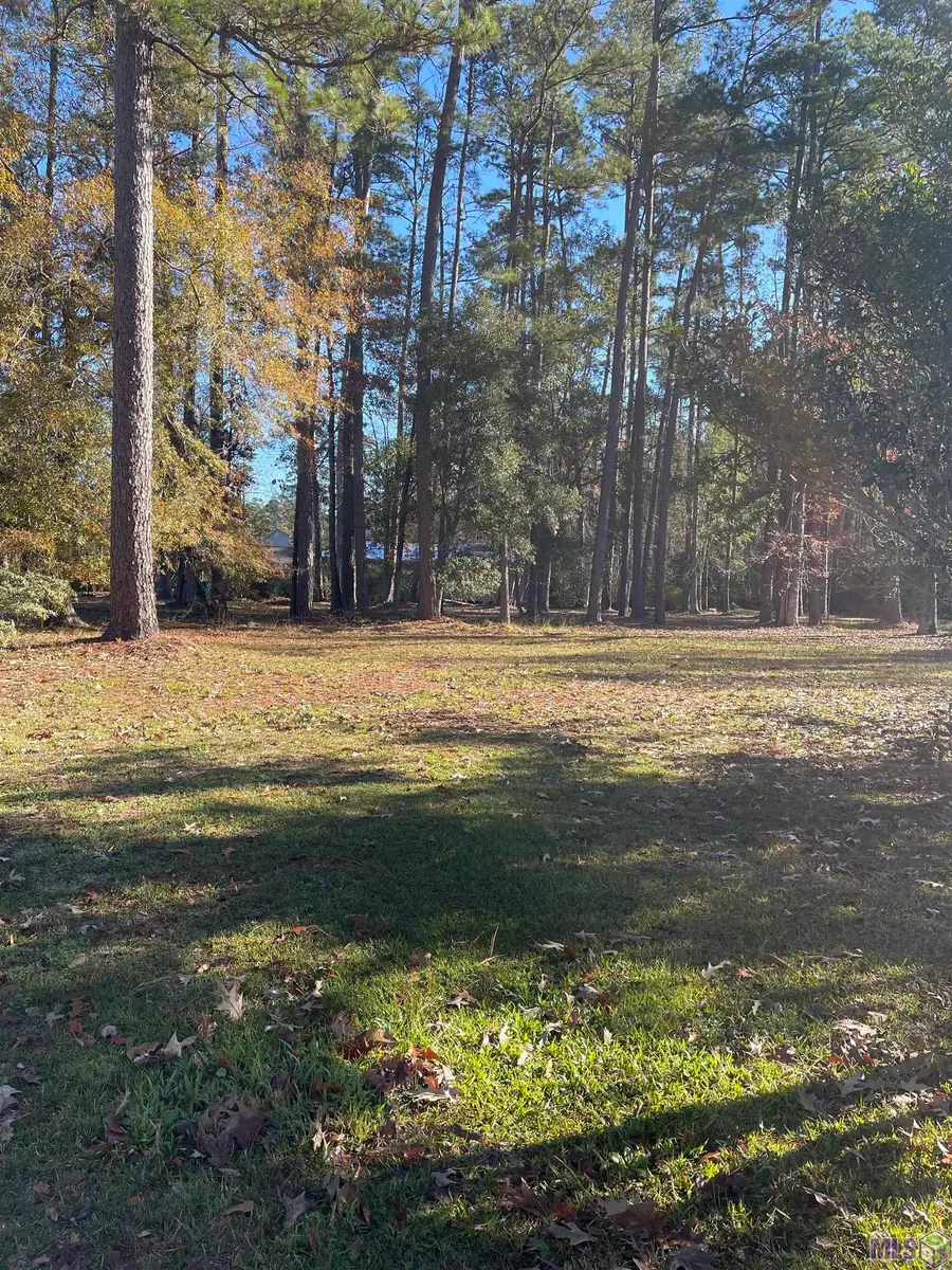 31387 River Pines Dr, Springfield, LA 70462 - #2