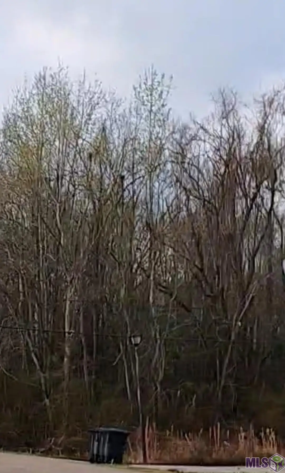 Lot 91 Rosario Dr, Baton Rouge, LA 70811 - #1