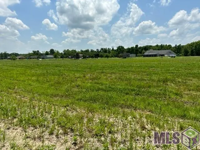 LOT CJ-3-C-1-B Lake Cocodrie Ln, Port Allen, LA 70767 - #2