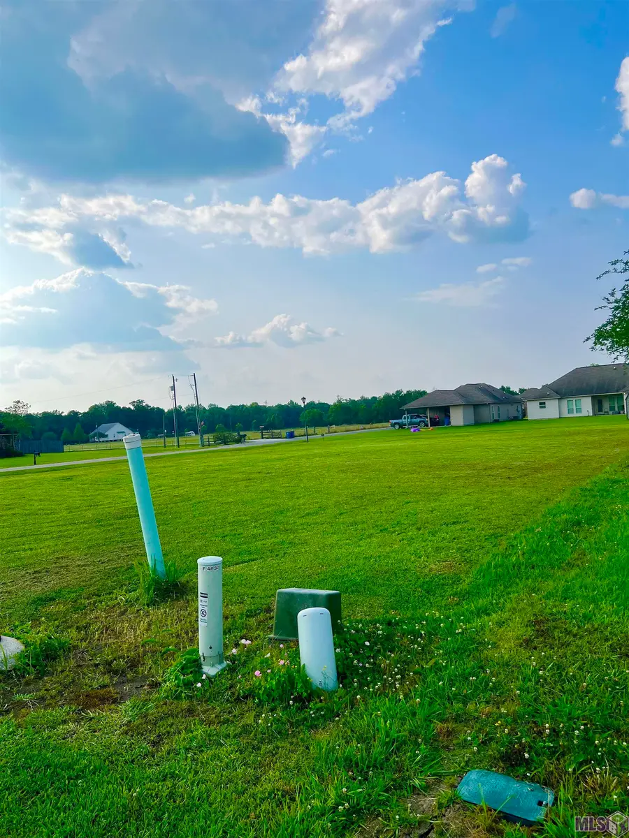 4850 Avery Grace Blvd, Addis, LA 70710 - #3