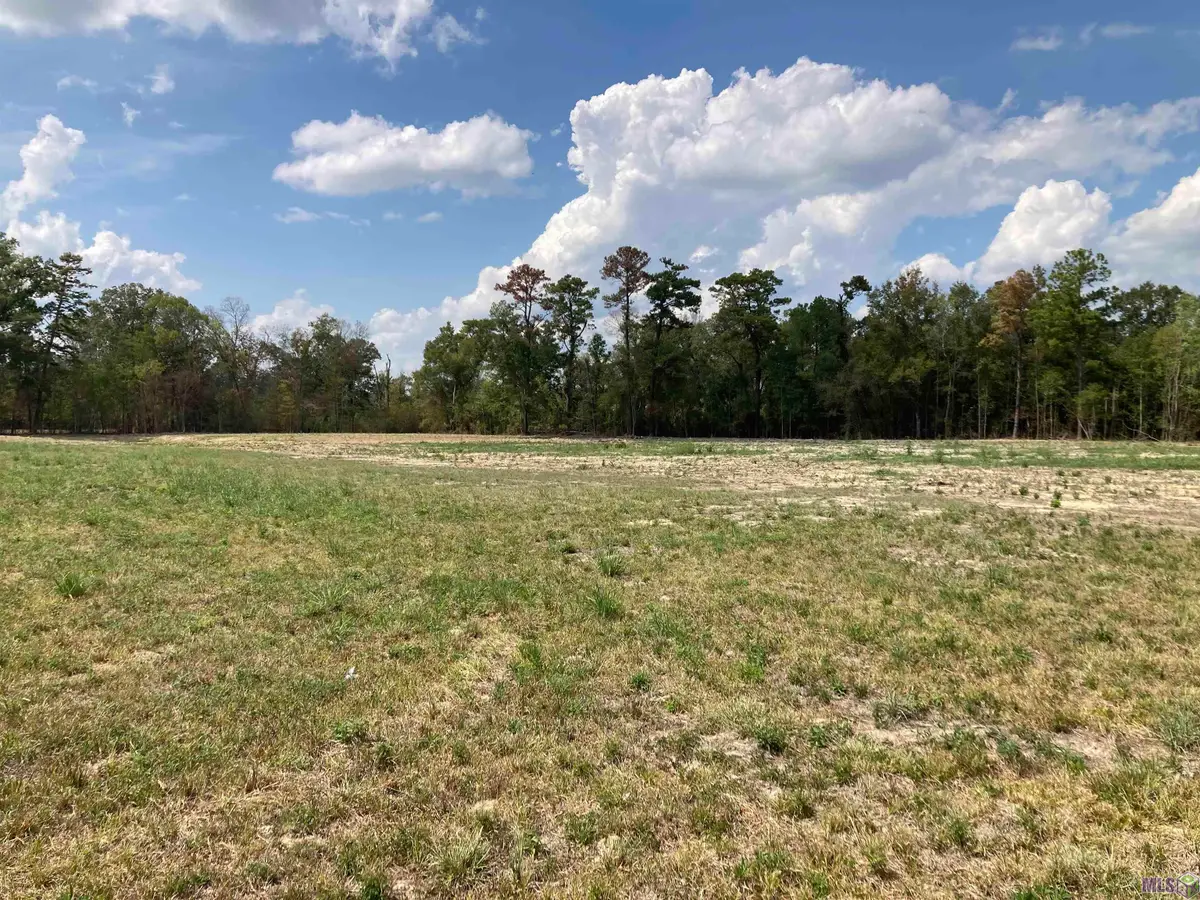 17164 La Hwy 933, Prairieville, LA 70769 - #1