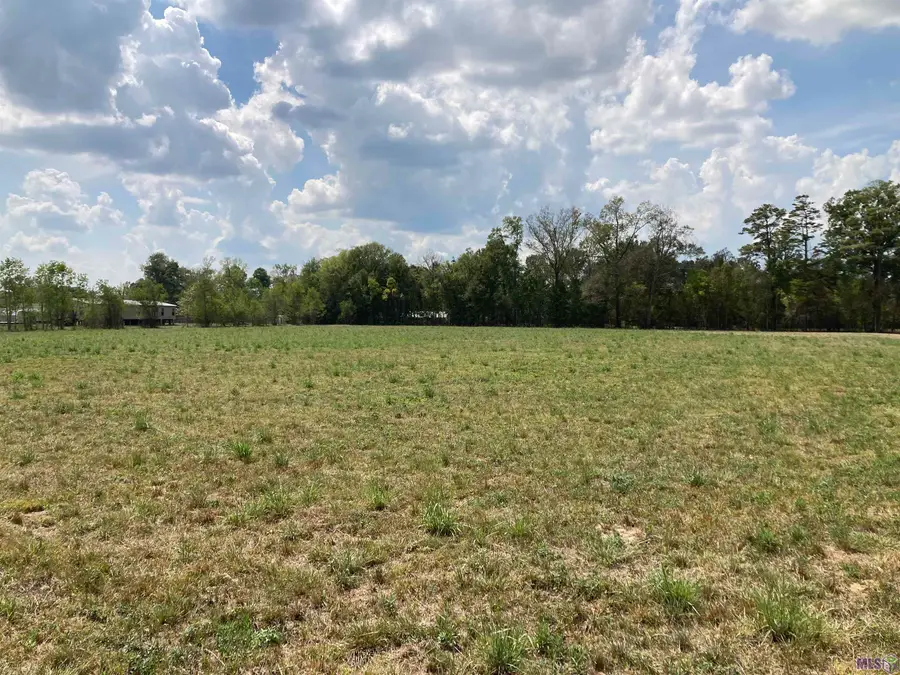 17164 La Hwy 933, Prairieville, LA 70769 - #2