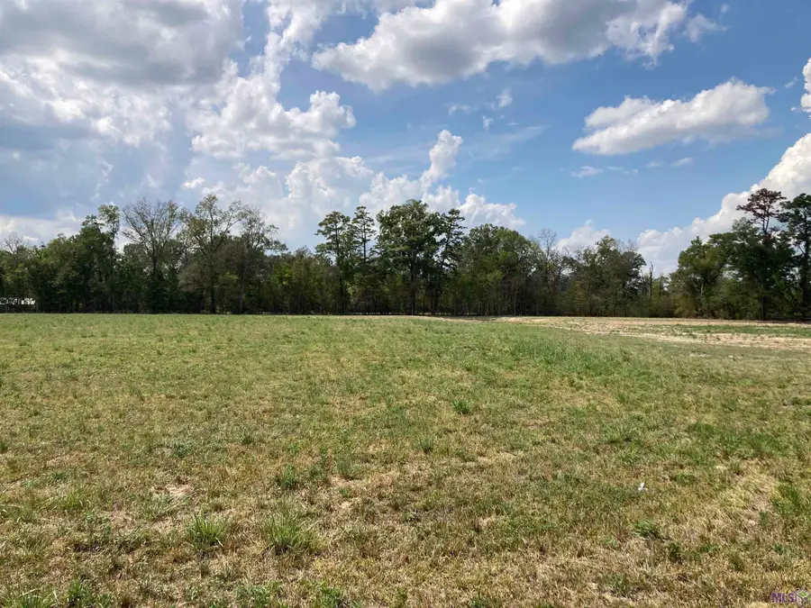17164 La Hwy 933, Prairieville, LA 70769 - #3