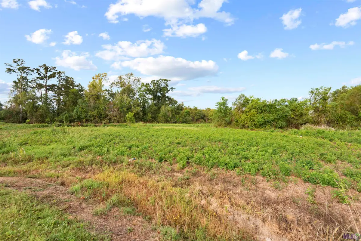 TBD Lot 19-A Amite Acres, Prairieville, LA 70769 - #1