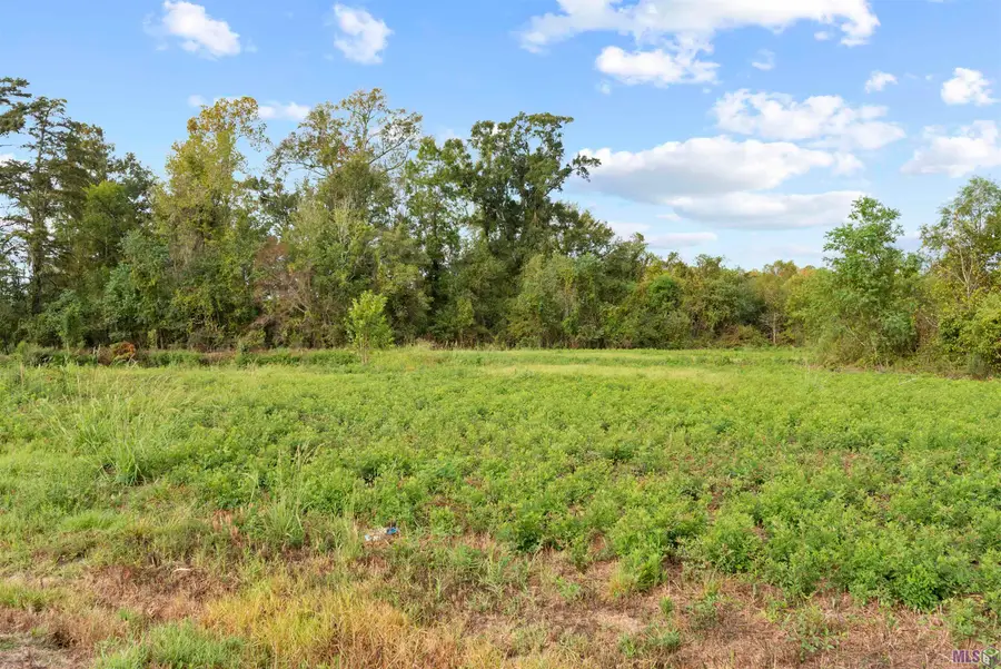 TBD Lot 19-A Amite Acres, Prairieville, LA 70769 - #2
