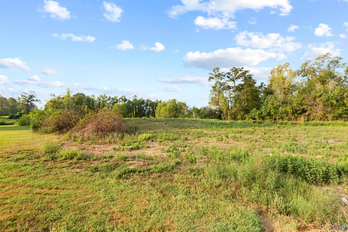 TBD Lot 20-A Amite Acres, Prairieville, LA 70769 - #1