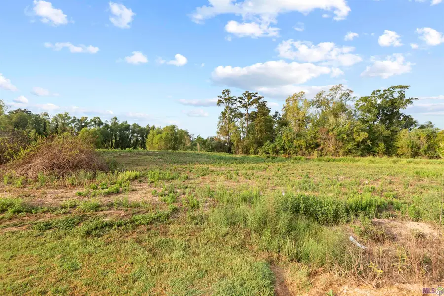 TBD Lot 20-A Amite Acres, Prairieville, LA 70769 - #2